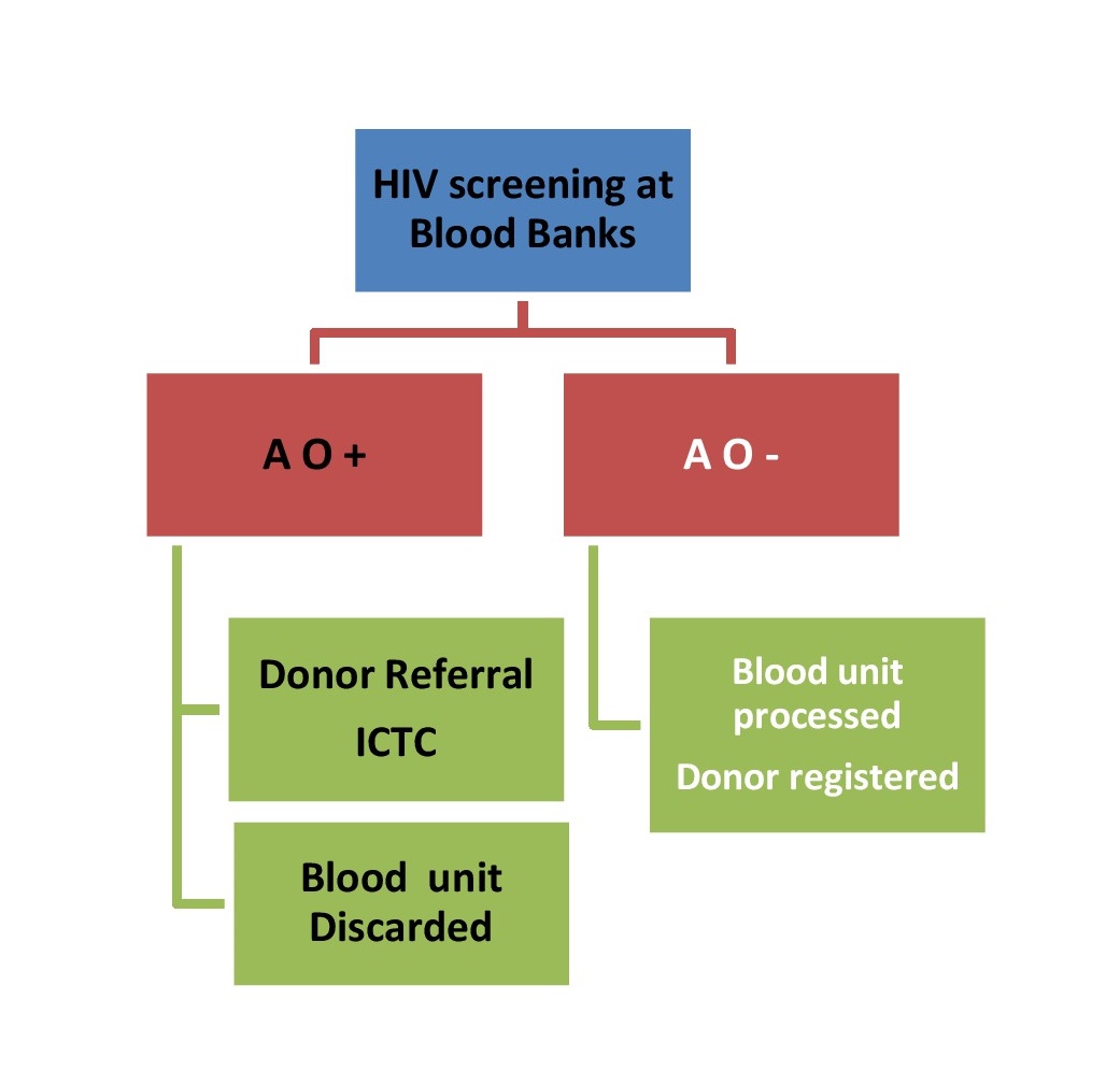 Blood Transfusion Services